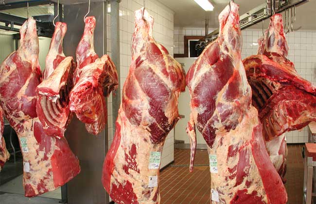 Viande rouge : El Bouari fait le point, 920.000 têtes importées